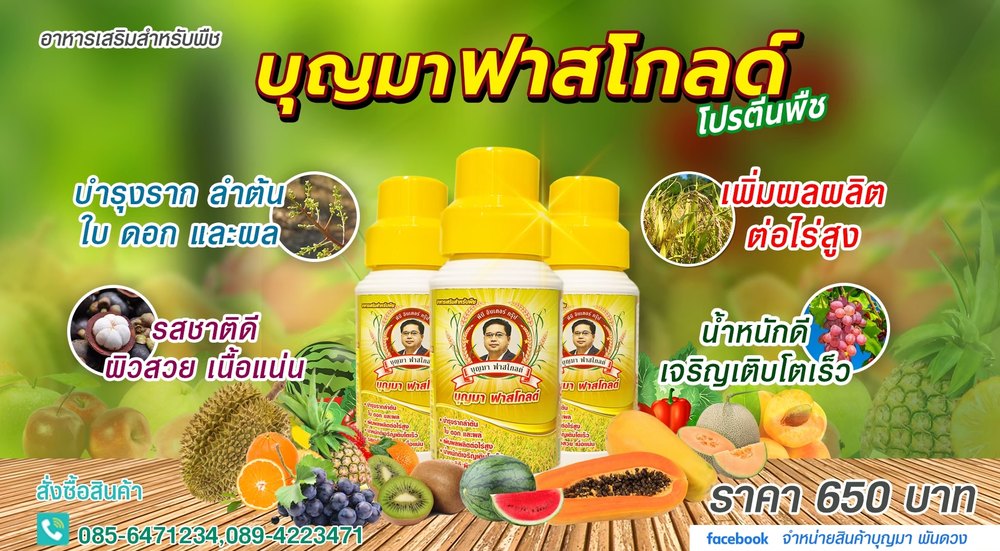 บุญมา ฟาสโกลด์ โปรตีนพืช