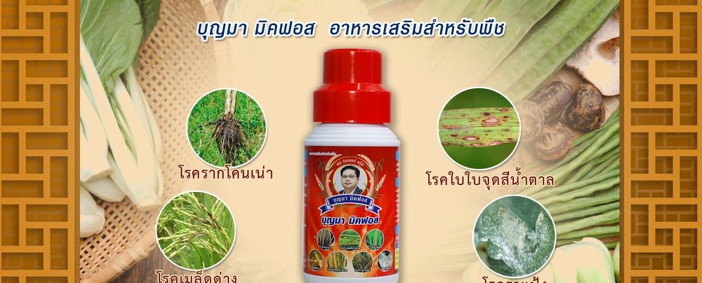 บุญมา มิคฟอส MICFORCE